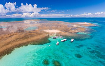 Piscinas Naturais em Recife de Fora